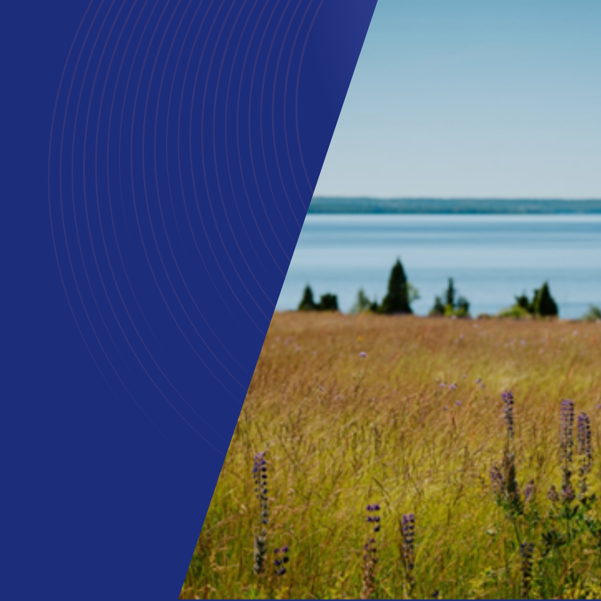 Bilder Till Kalendarium (59)